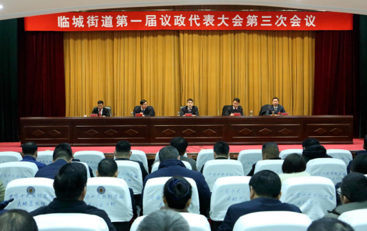 Xinghua's Lincheng sub-district discusses public projects
