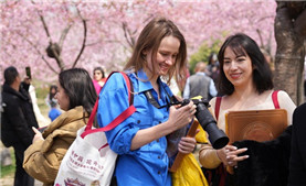 Wuxi blossoms into cherry flower wonderland