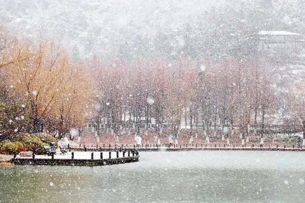 ​Zhangjiagang sees first snowfall