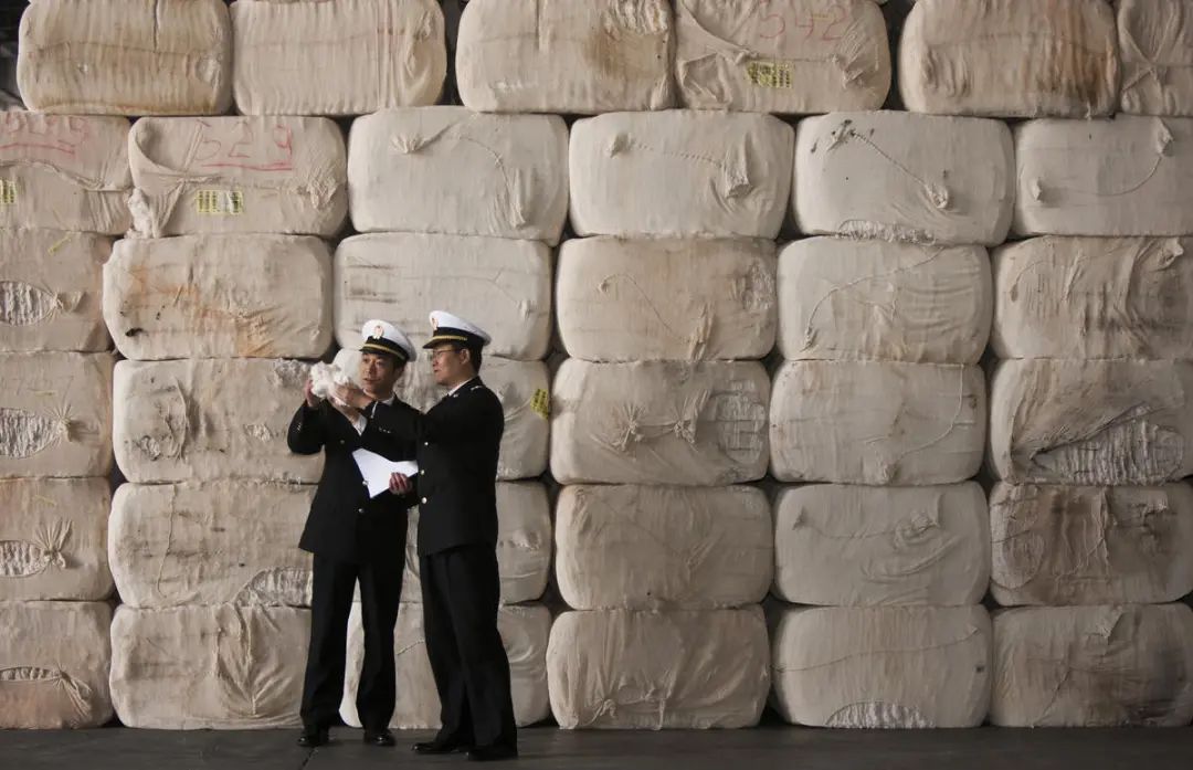 Zhangjiagang customs reports significant surge in cotton imports