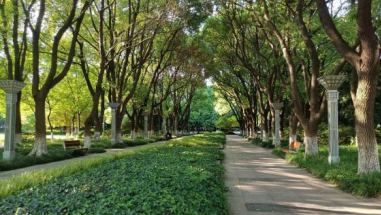 Zhangjiagang adds 3 new green spaces to provincial list