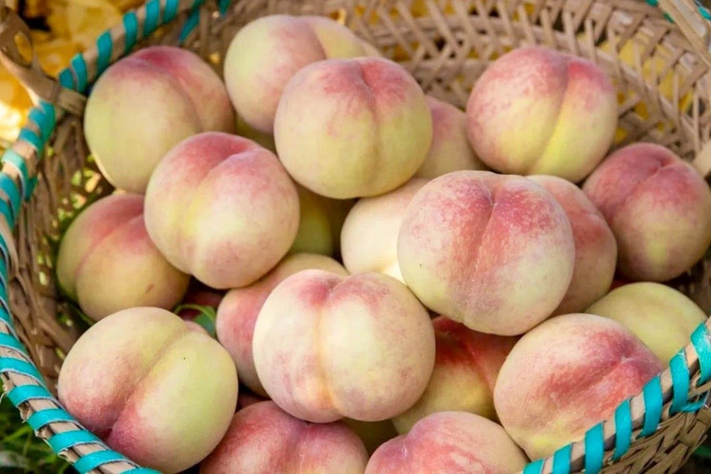 Fenghuang peaches: A sweetness limited to summer