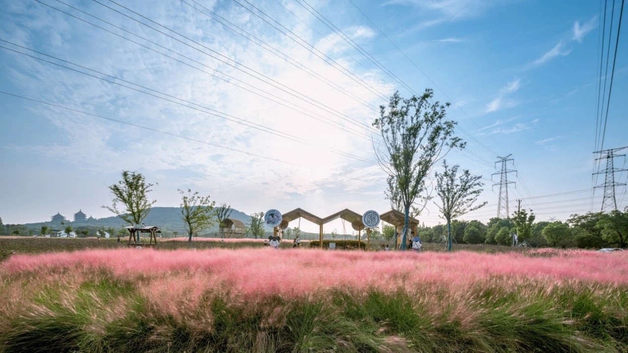 Village in Zhangjiagang recognized as top destination for road trips