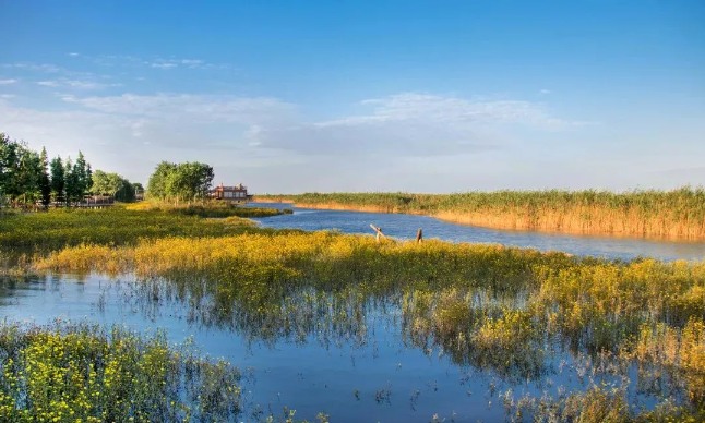 Yangtze River protection promotes harmony between people and nature in Zhangjiagang