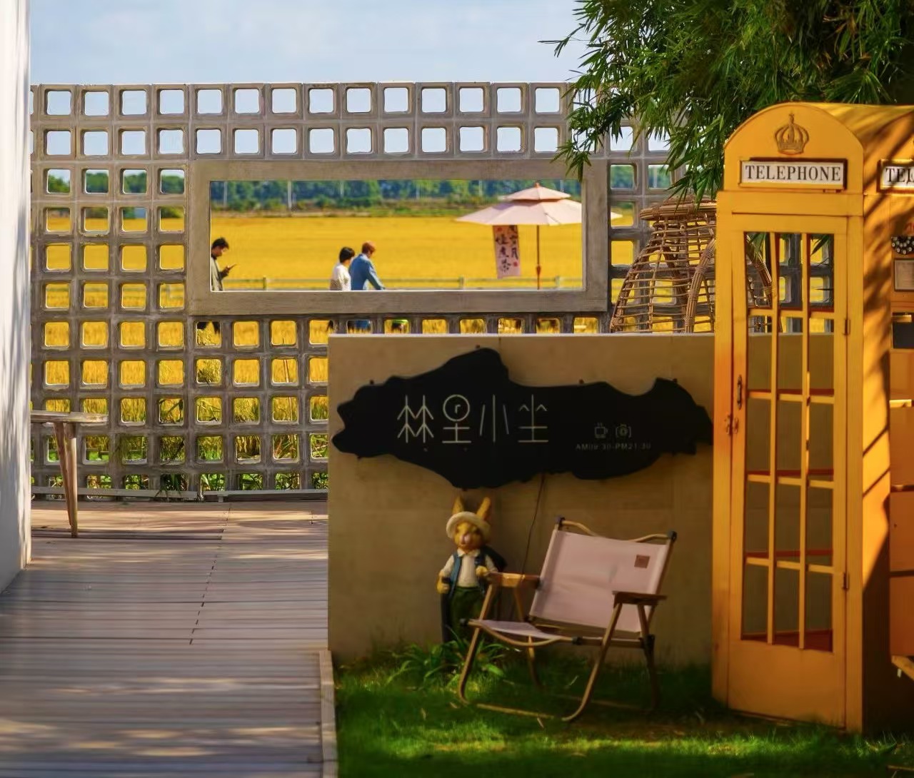 Coffee drives rural vitalization in Zhangjiagang