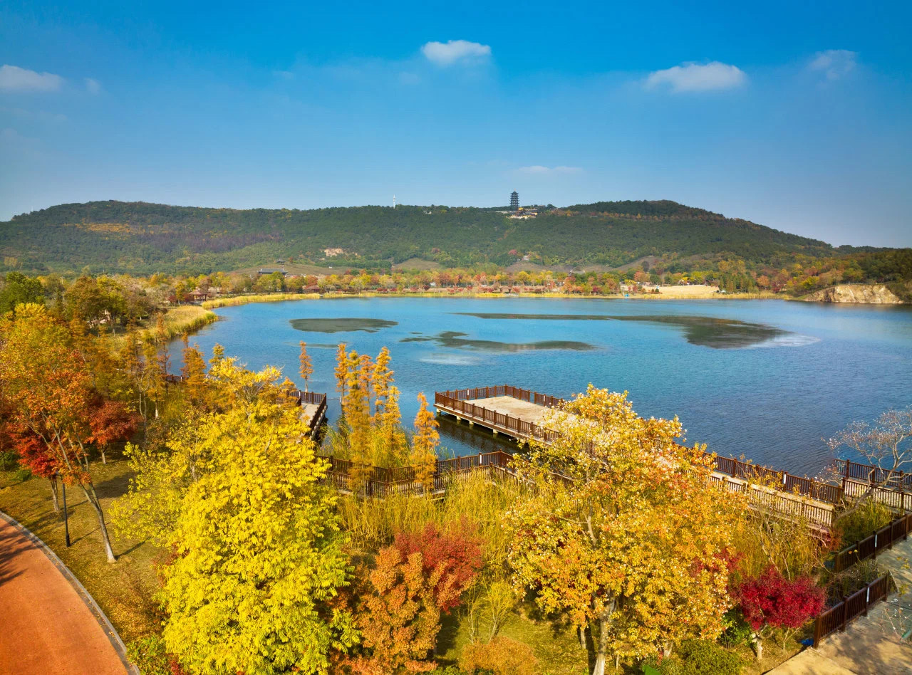 Zhangjiagang's 'leaf-watching economy' thrives