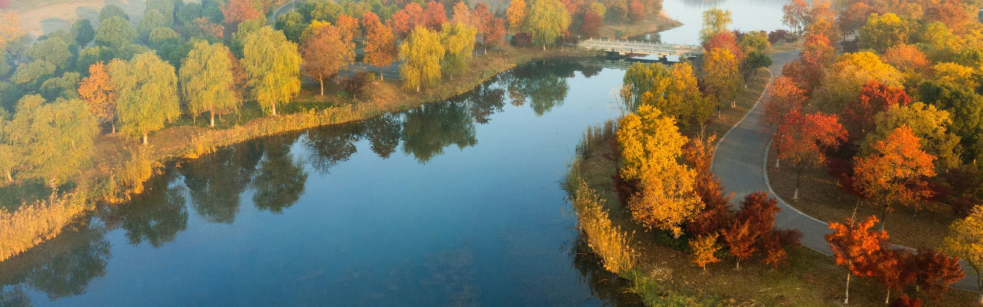 Eco-civilization turns Zhangjiagang into migratory bird haven