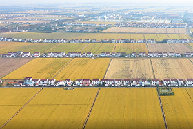 Zhangjiagang creates high-quality farmland to boost modern agriculture