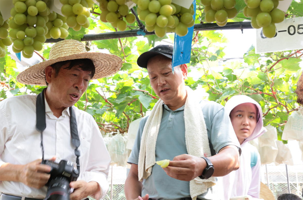 Zhangjiagang's agricultural base listed as provincial base