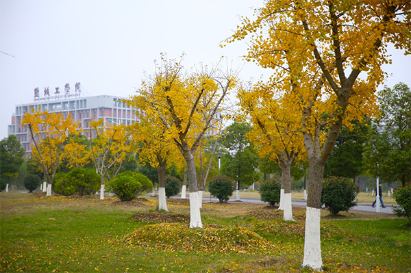 盐城工学院.jpg