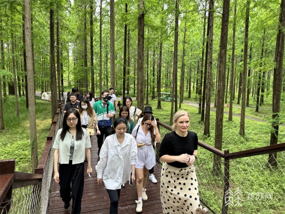 Expats enchanted by natural beauty in Yancheng