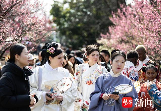 Nanjing international students gather at Plum Blossom Hill to experience Chinese culture