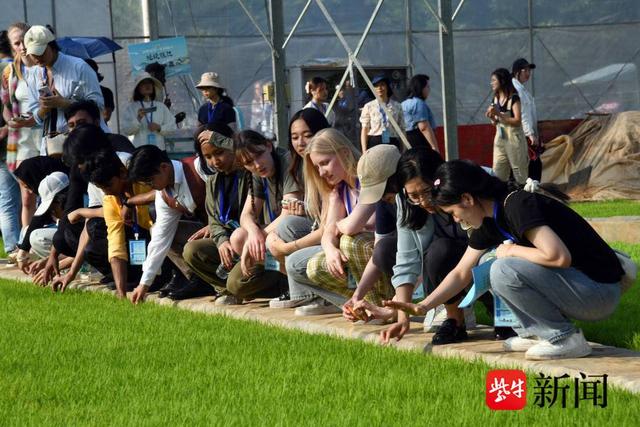 国际学生深入镇江农业发展