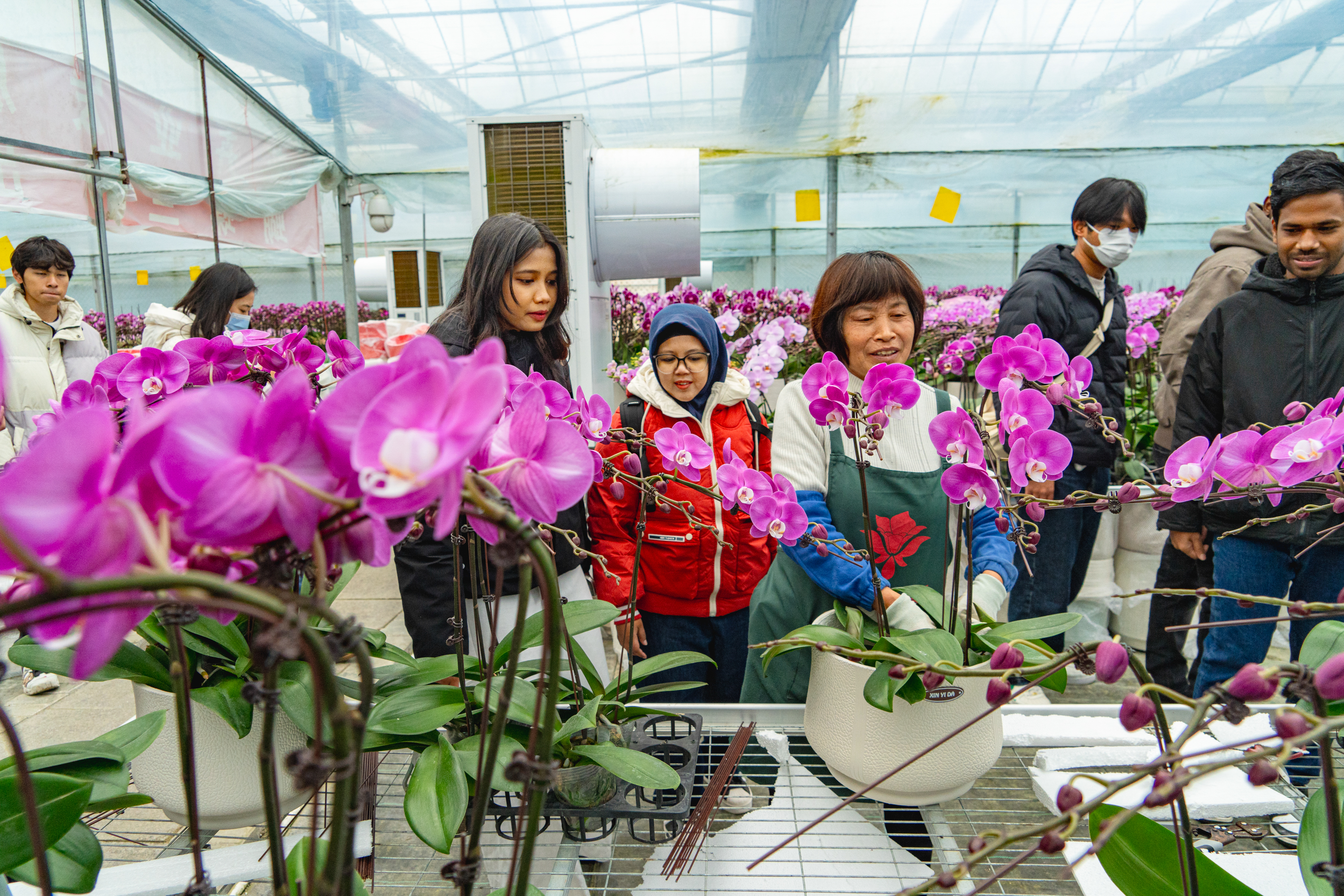 International students visit orchid farm in Taizhou