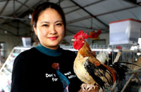 College graduate makes success of pet chicken business