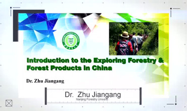 Exploring Forestry and Forest Products in China