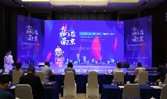 Overseas talents compete at Nanjing start-up contest final