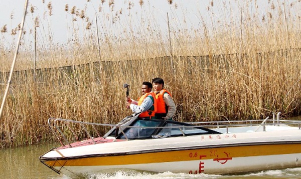 Int'l student from Yangzhou University joins bird protection volunteer team