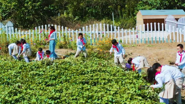 ​Huai'an schools carry out labor education