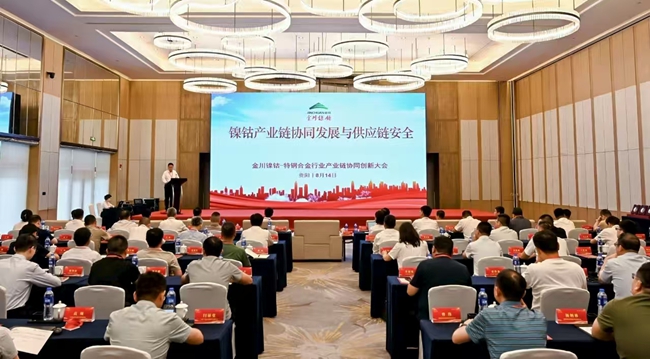 1755590540215003066.jpg 金川_副本.jpg