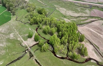 Li Shangyong conducts research on agriculture and livelihood projects