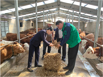 Jinchuan Group provides local famers with breeding training lecture