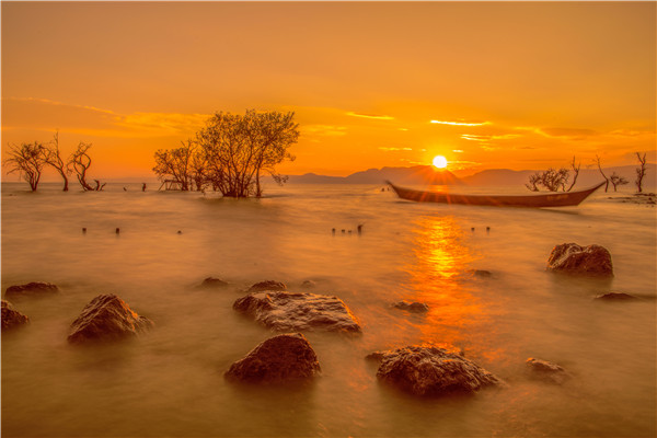 滇池王官湿地美景，作者，李维梅DSC_4421.jpg