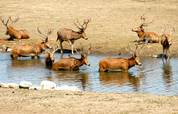 Kunming COP 15 meeting 'met all expectations'