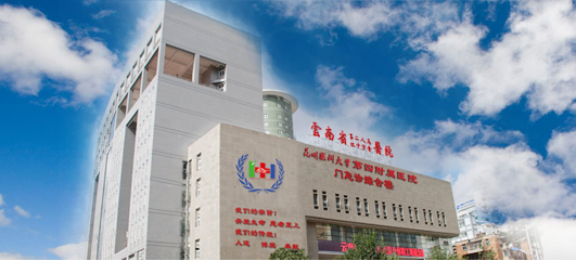 The Second People's Hospital of Yunnan Province