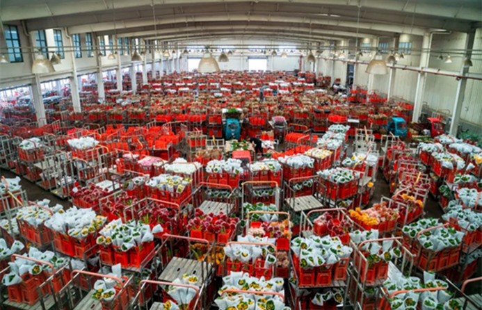 Asia's leading flower market data shows booming consumption