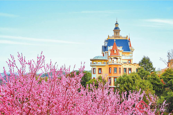 Xundian county in Kunming blossoms with flower tourism