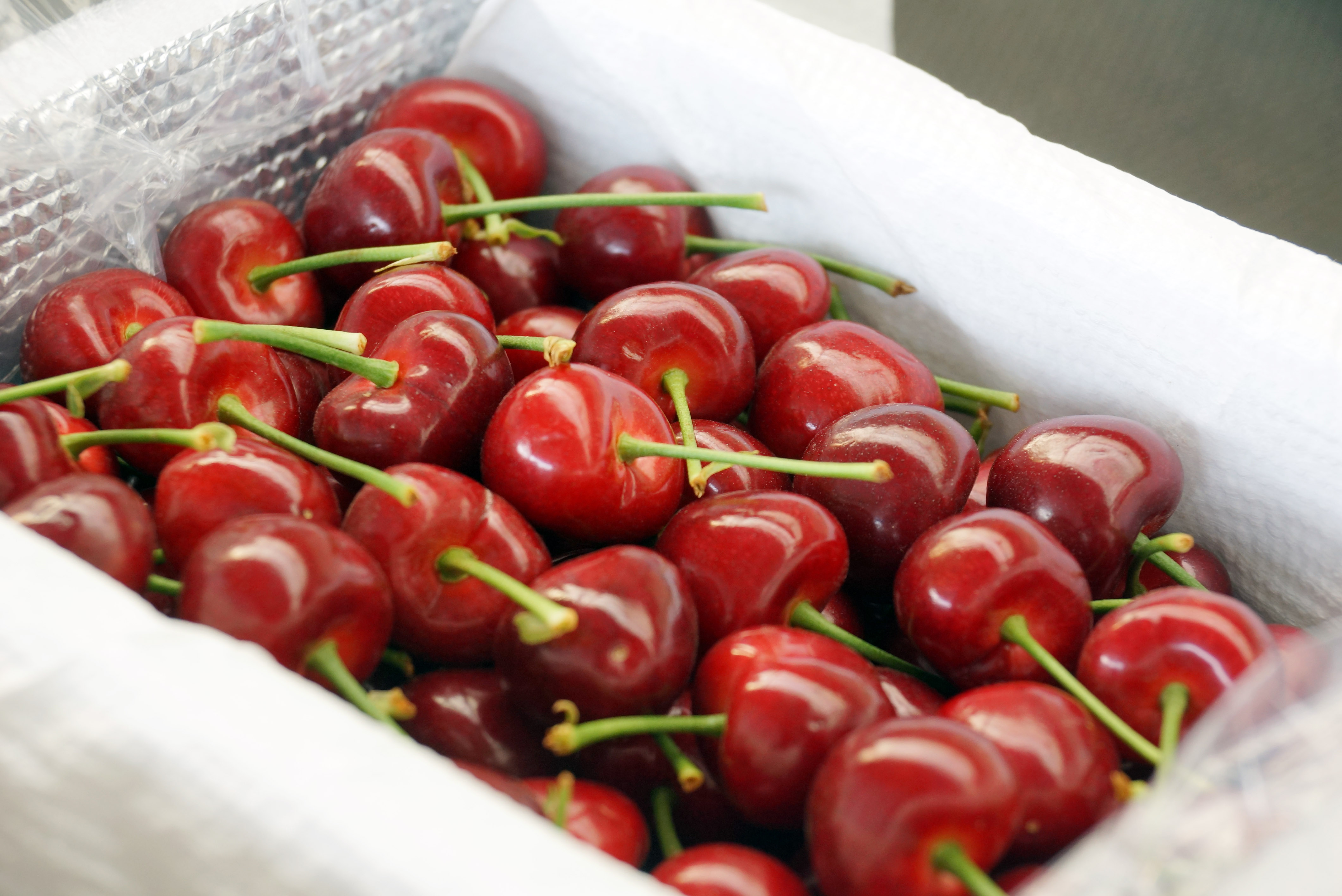 Juicy Dalian big cherries enter harvest season