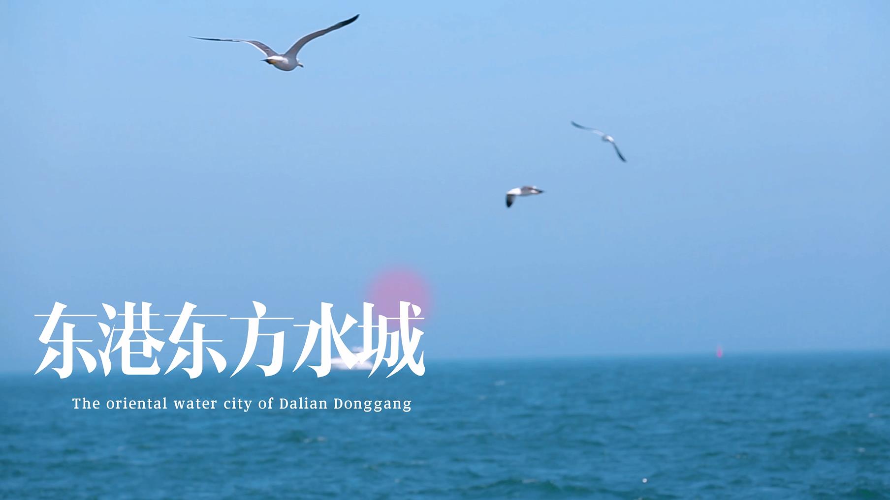 Wandering in Dalian | The Oriental Water City of Dalian Donggang