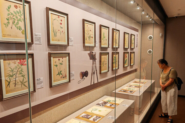 Joint exhibition at Nantong Museum unites art, science