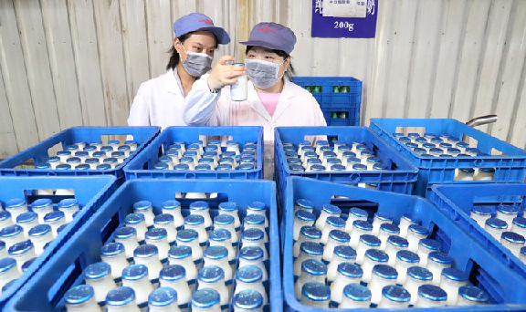 Nantong dairy manufacturer boosts output in H1
