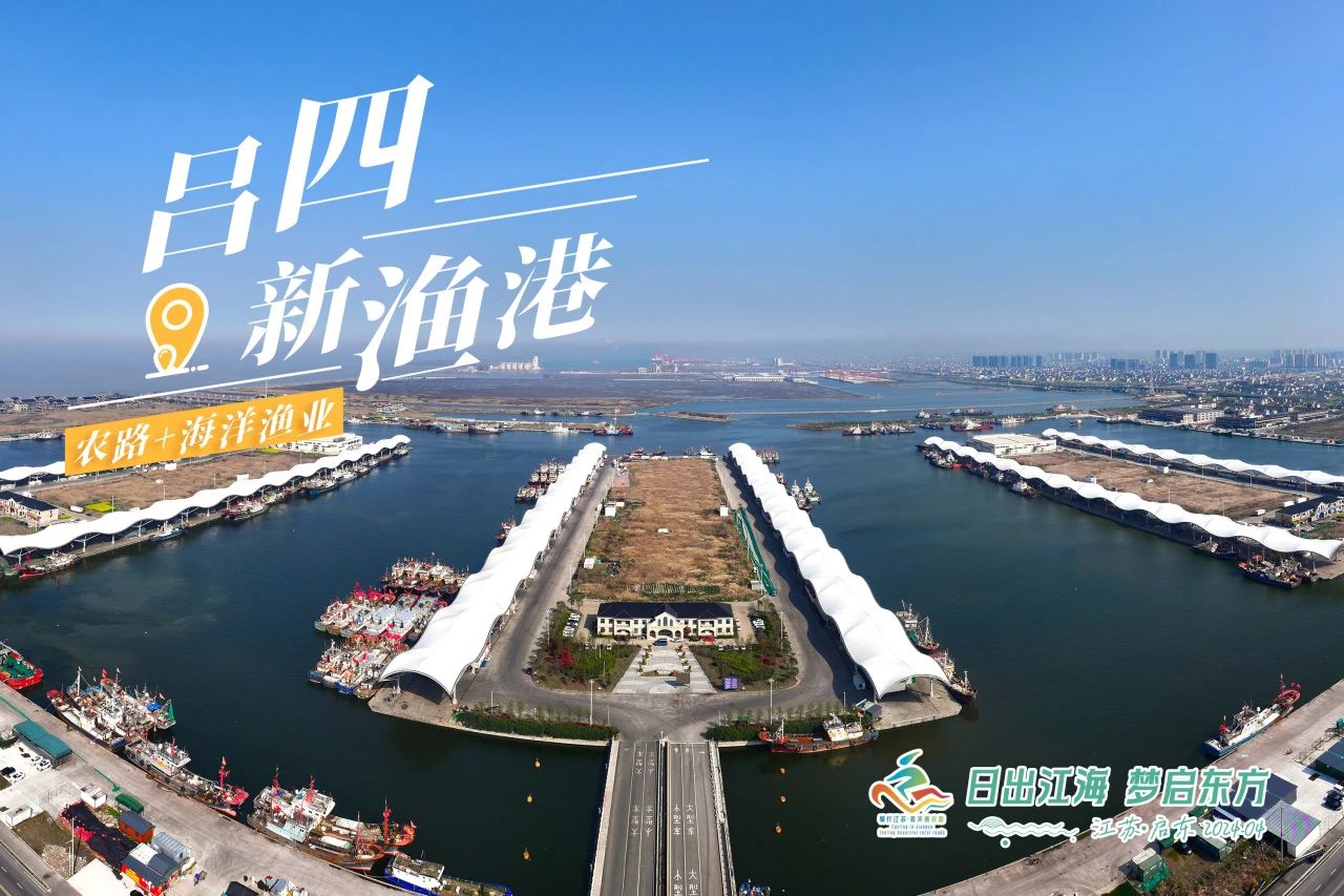 Qidong unveils scenic 'Fresh Highway' to showcase coastal charm