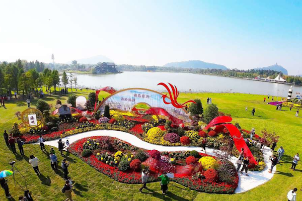 Tongzhou wins gold for 5th year at Nantong Chrysanthemum Exhibition