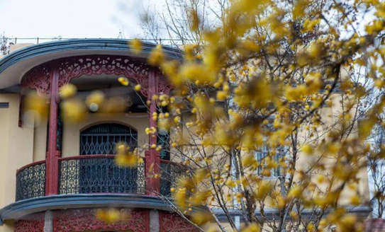 Places to admire plum blossoms in Chongchuan