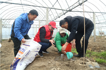 Grape planting brings better life for disabled