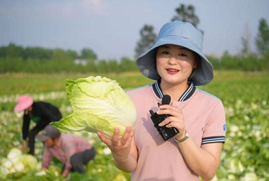 Livestreaming helps Hai'an farmers sell Chinese cabbages