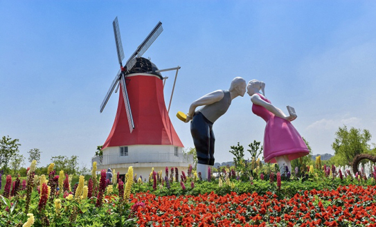 Charming Chongchuan farm attracts May Day holiday visitors