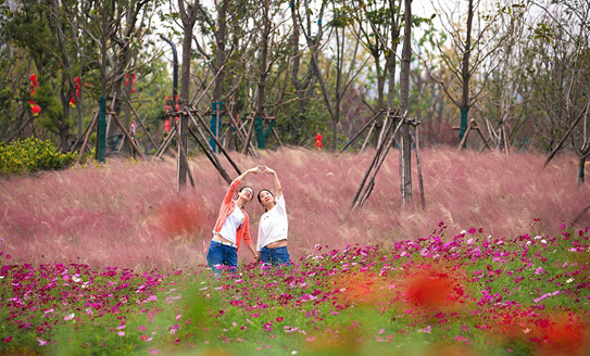 Blooming flowers lure visitors to Zilang Park