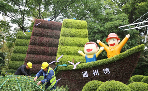 Nantong city's chrysanthemum expo to debut in late Oct