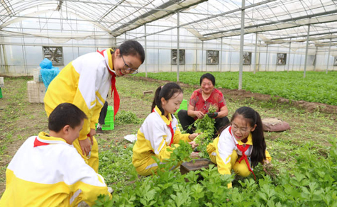 Students in Chongchuan try their hands at agricultural work