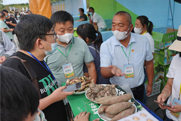 Nantong celebrates farmers' harvest festival with agricultural exhibition