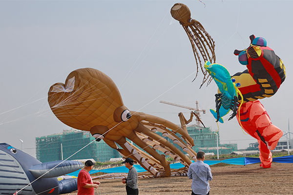 Kite festival kicks off in Rudong