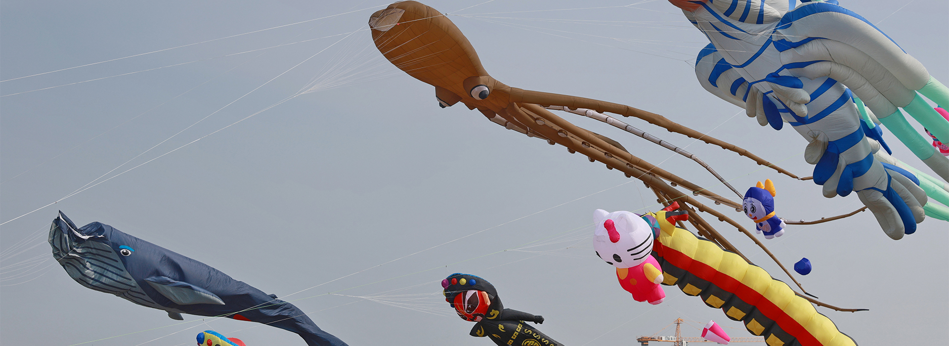 Kite festival kicks off in Rudong