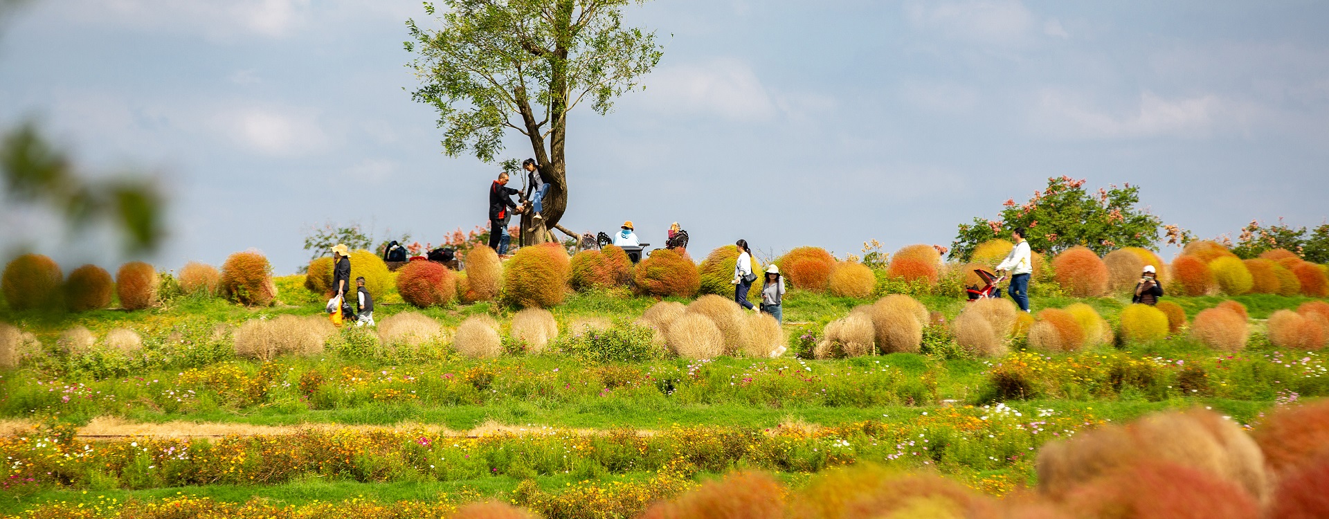 Tongzhou brimming with autumn vibes