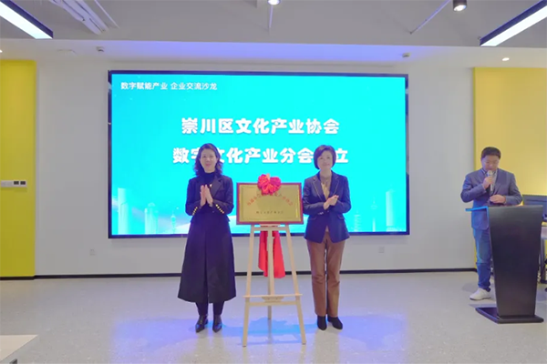 Chongchuan launches digital culture sub-association