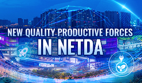 New quality productive forces in NETDA